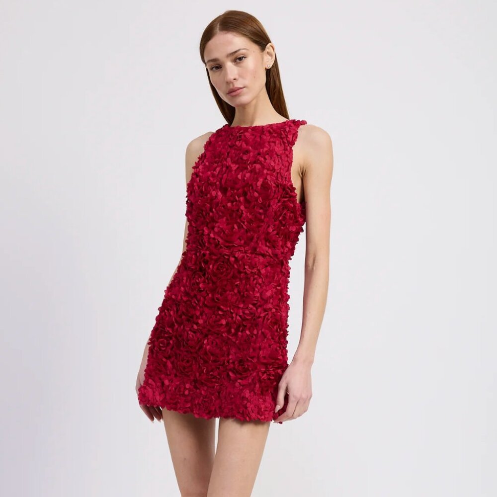 Roisin Shift Floral Petal Dress